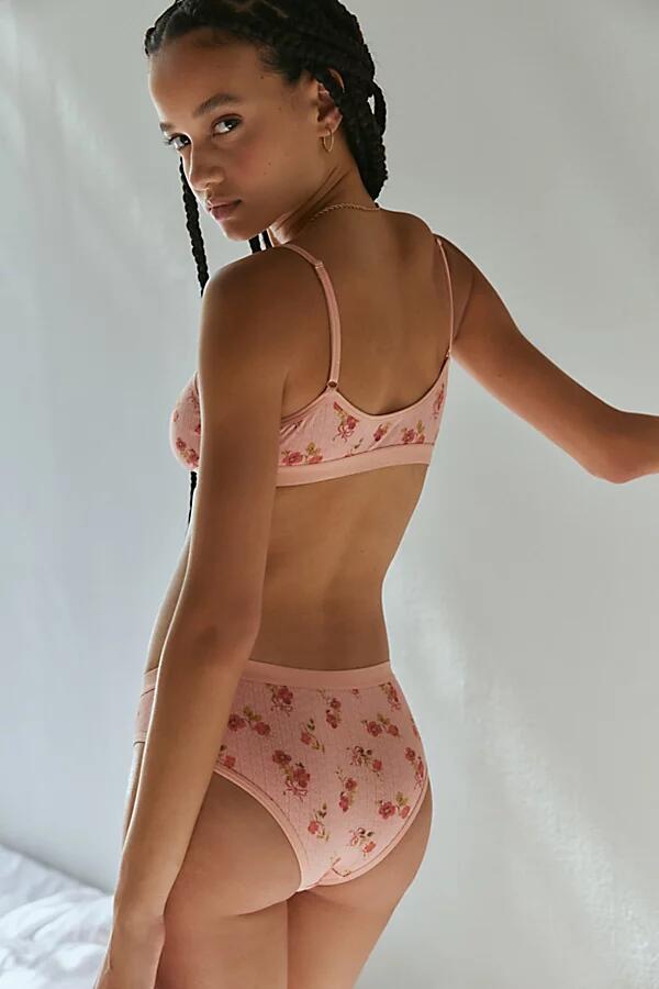 Out From Under Pointelle Bikini Undie in Peach Cover