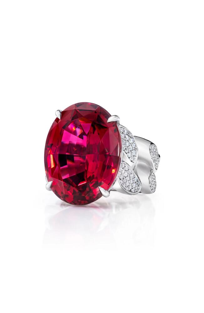 Mindi Mond Rubellite Tourmaline & Diamond Ring in 18Kwg Cover