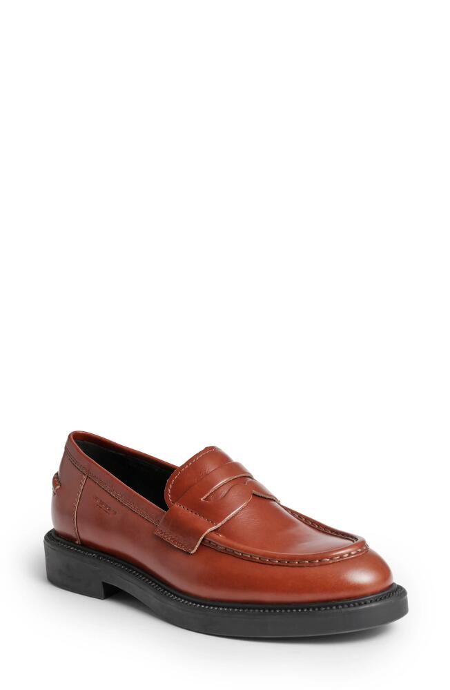 Vagabond Shoemakers Alex Penny Loafer in Cognac Cover