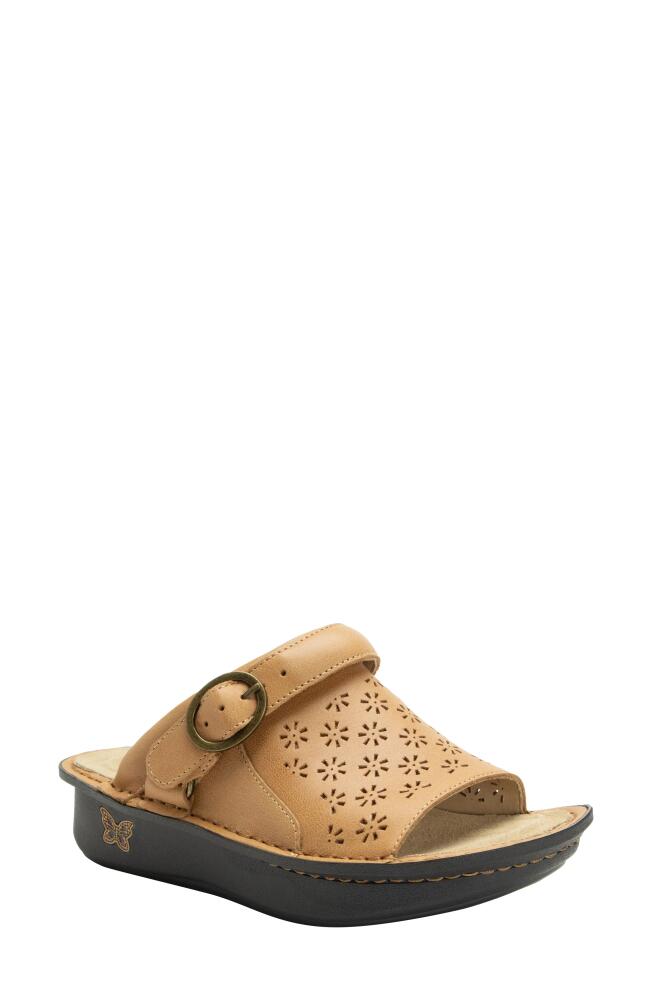 Alegria by PG Lite Klover Platform Sandal in Fawn Cover