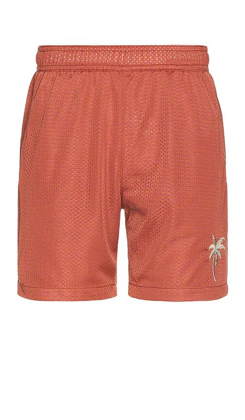 Marine Layer Side Stripe Mesh Short in Burnt Orange Cover