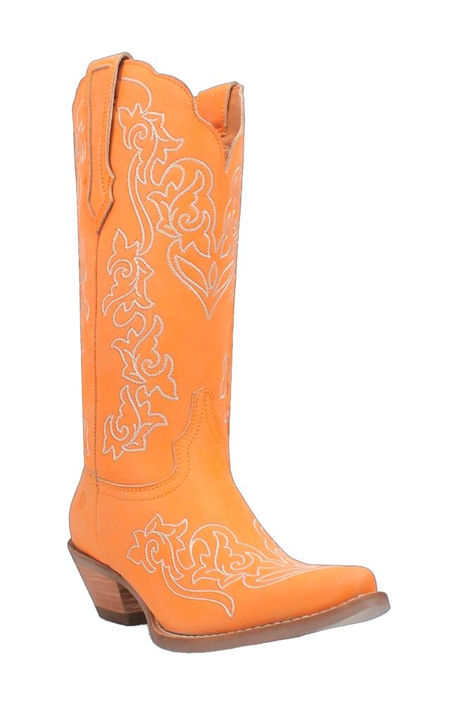 Dingo Flirty N' Fun Western Boot in Orange Cover