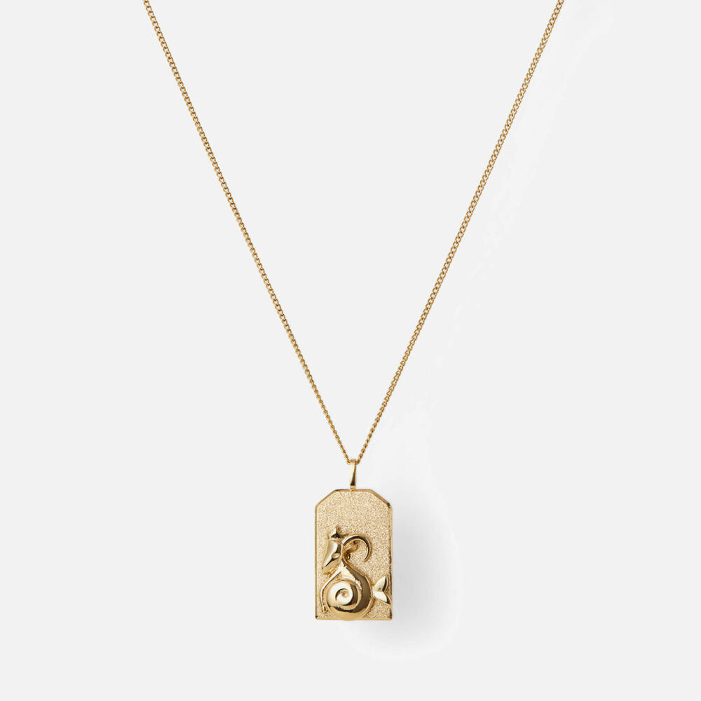 Jenny Bird Zodiac Capricorn Gold-Plated Necklace Cover