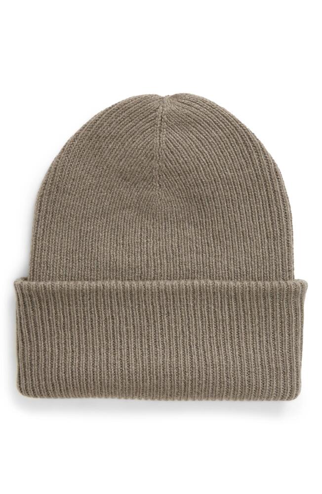 The Elder Statesman Parker Cashmere Beanie in Driftwood Cover