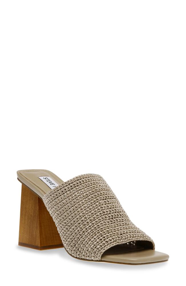 Steve Madden Realize Slide Sandal in Taupe Cover