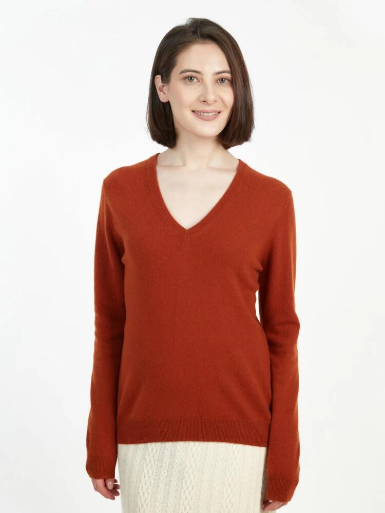 Gobi Cashmere V-Neck Sweater in Sugar Almond Cover