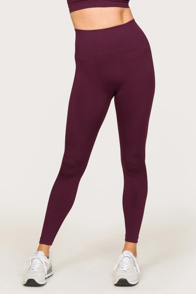 ALALA Barre Seamless Tight in Wine Cover