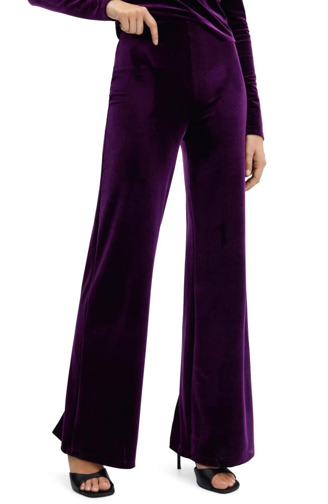 MANGO High Waist Velvet Flare Pants in Purple Cover