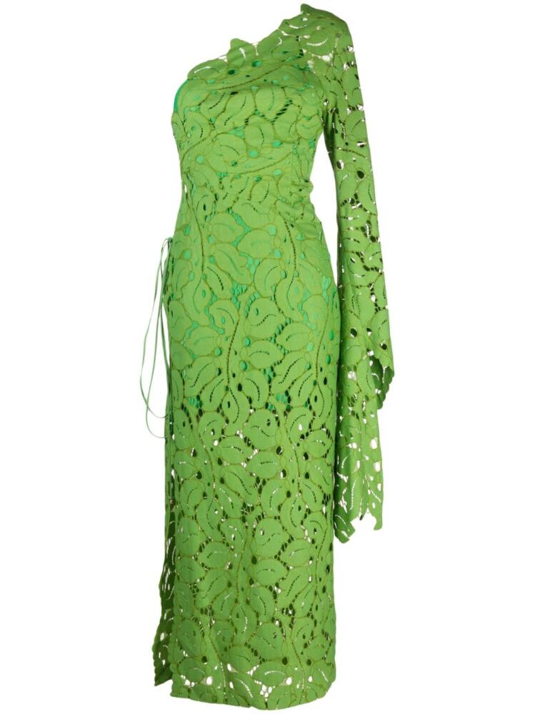 Maria Lucia Hohan Hart floral-lace one-shoulder dress - Green Cover