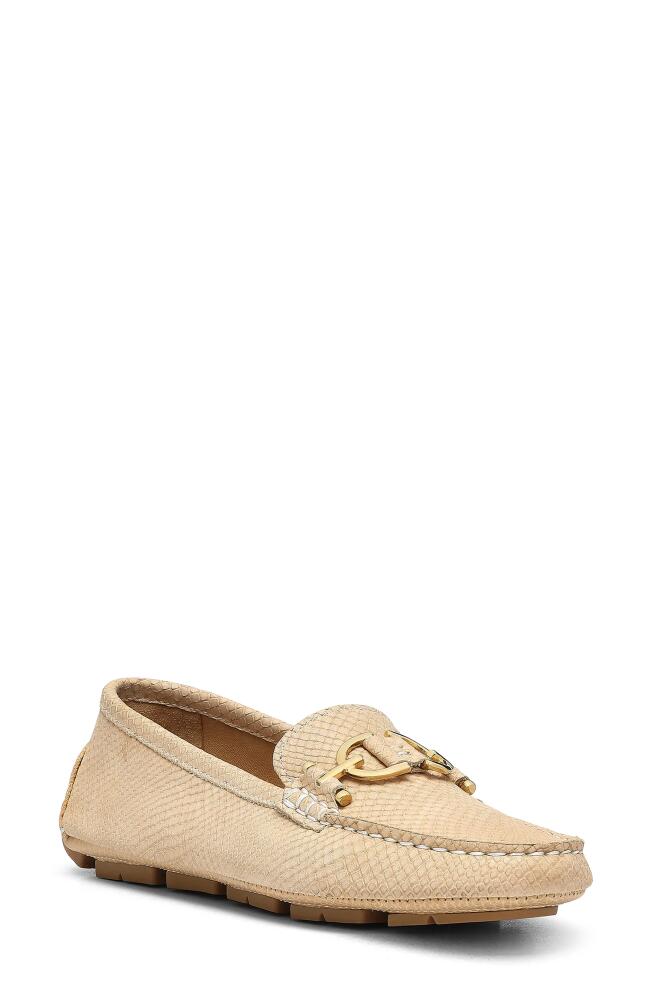 Donald Pliner Giovanna Bit Driving Loafer in Sand Cover