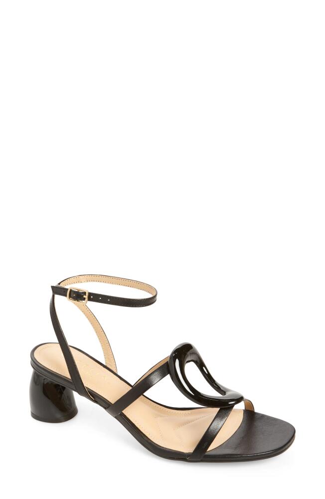 Cecelia New York Maria Sandal in All Black Cover