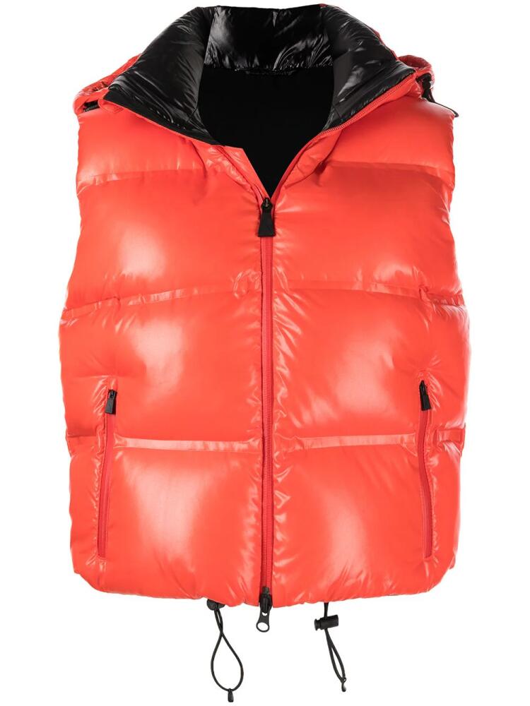 Aztech Mountain Snowbird padded vest - Red Cover