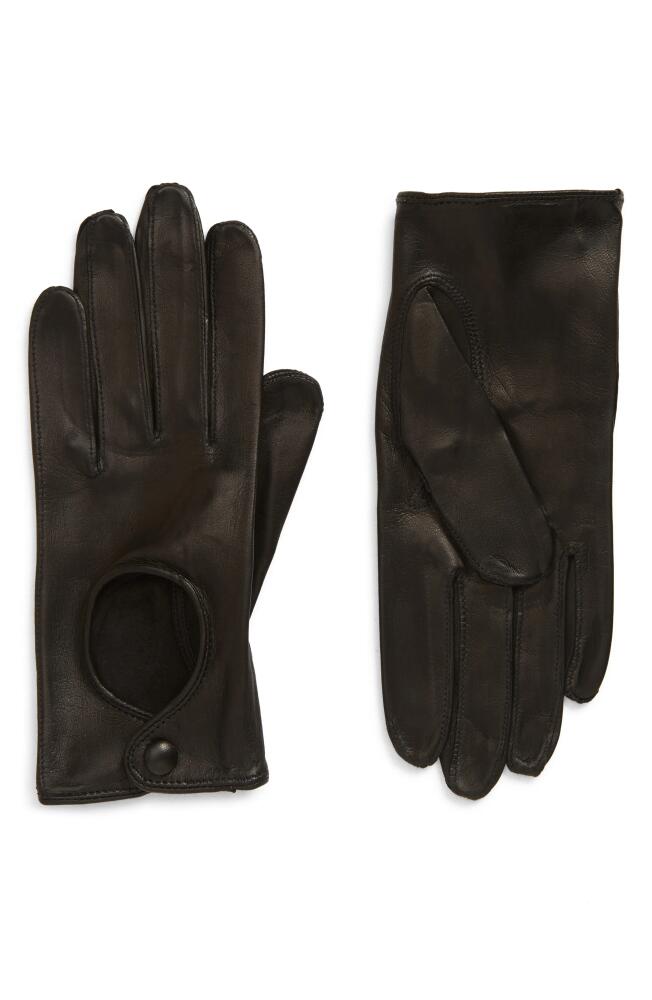 Seymoure Washable Leather Driver Gloves in Black Cover