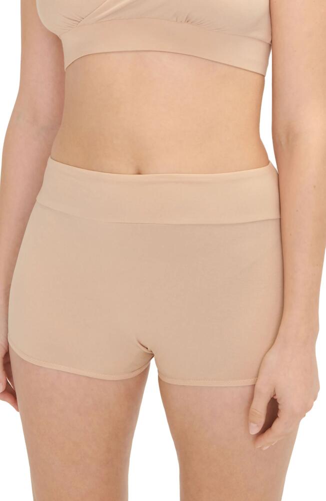 HATCH The High Tuck Postpartum Boyshort Brief in Sand Cover