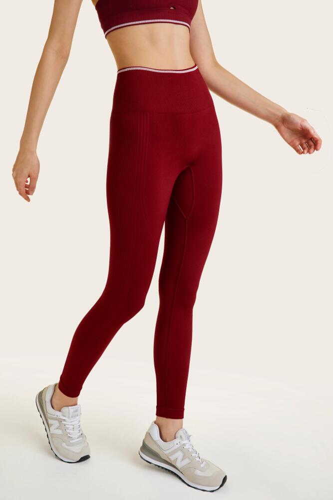 ALALA Barre Seamless Tight in Garnet Cover