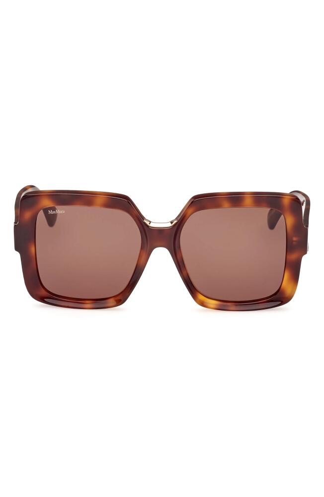 Max Mara Ernest 56mm Square Sunglasses in Dark Havana /Brown Cover