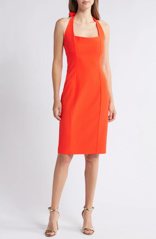 Black Halo Zarela Halter Neck Sheath Cocktail Dress in Orange Tang Cover