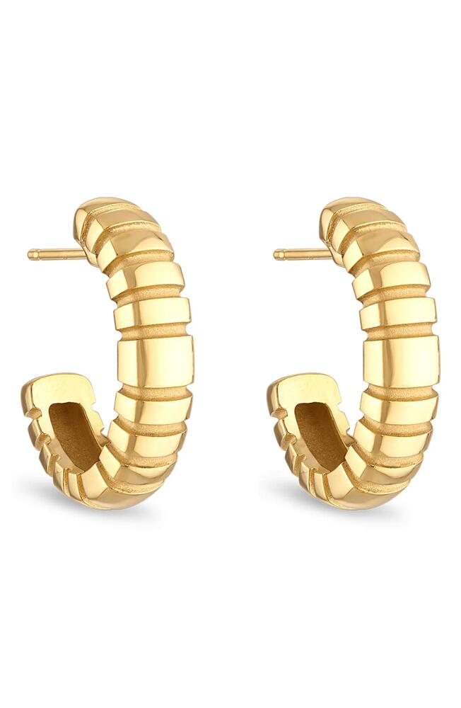 Pamela Zamore Orla Large Oval Hoop Earrings in Gold Cover