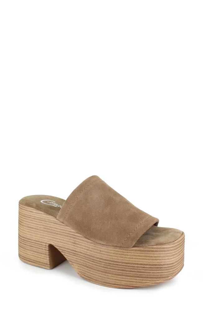 Candie's Ophelia Platform Slide Sandal in Taupe Suede Cover