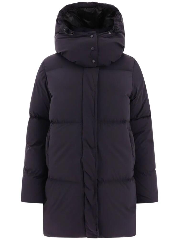 ASPESI hooded padded down coat - Blue Cover