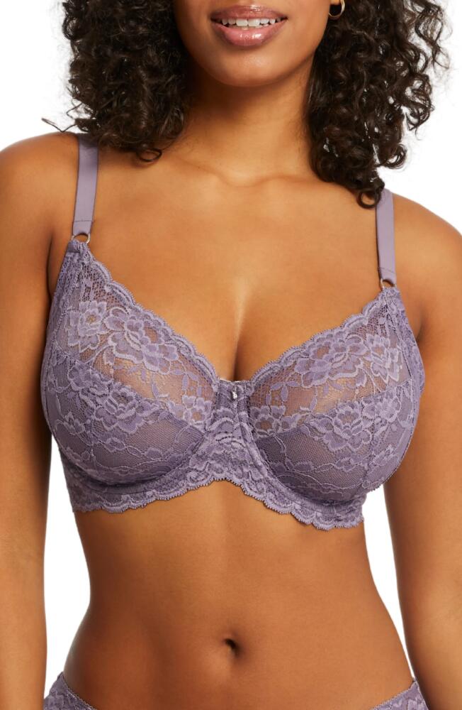 Montelle Intimates Montelle Intimate Muse Full Cup Lace Bra in Purple Cloud Cover