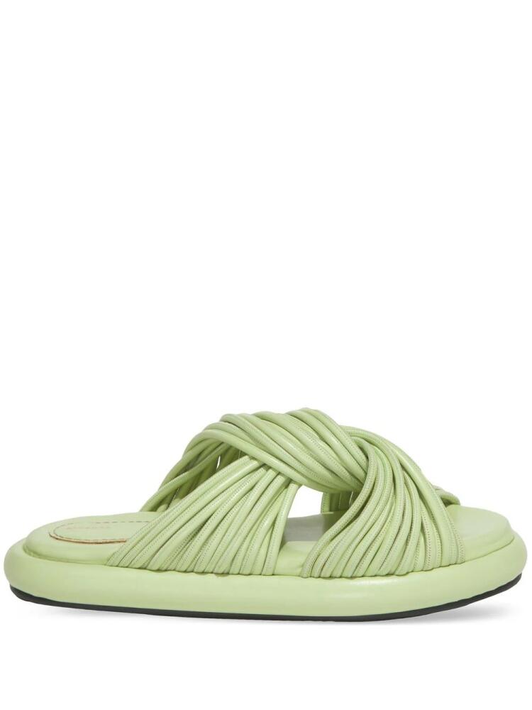 Proenza Schouler Pipe Rolo slides - Green Cover