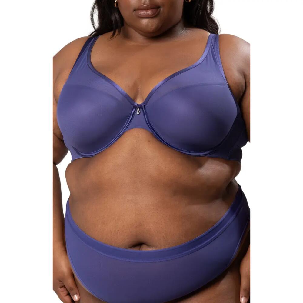 Curvy Couture Underwire Plunge Bra in Vintage Blue Cover