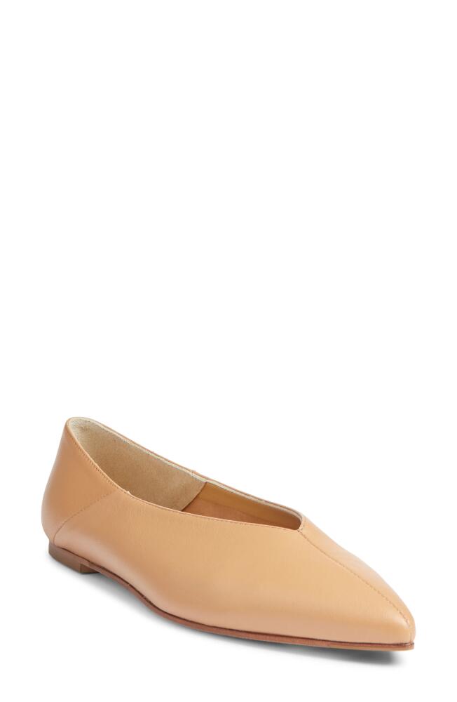 aeyde Moa Pointed Toe Flat in Hazelnut Cover