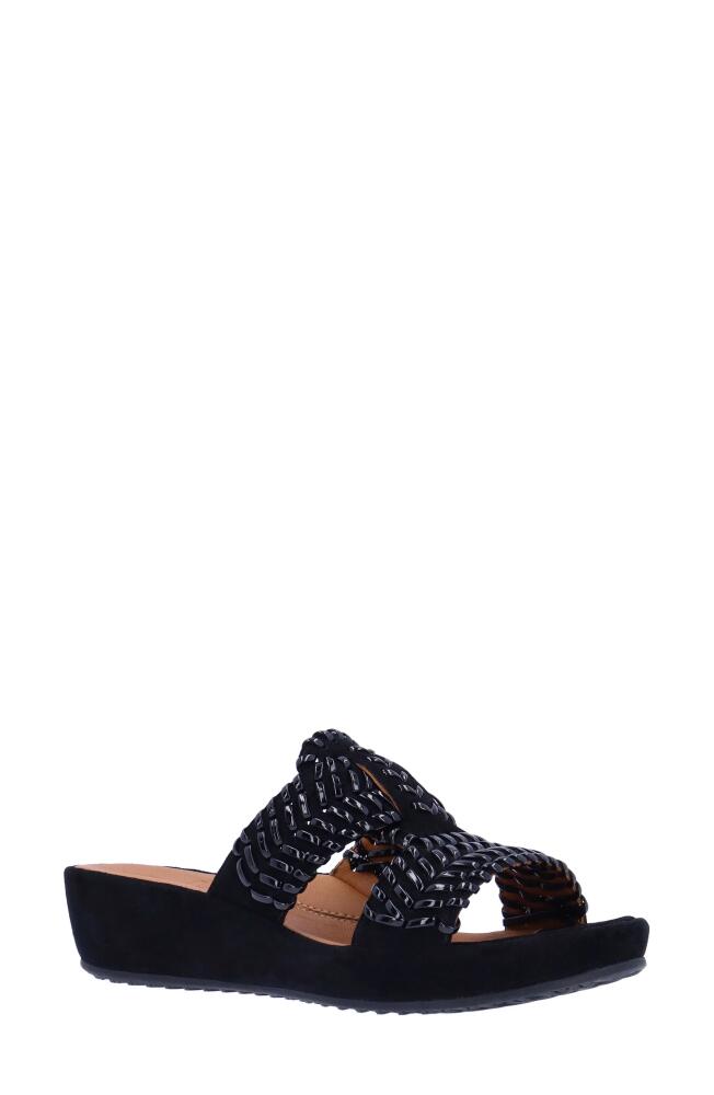 L'Amour des Pieds Chorra Sandal in Black Cover