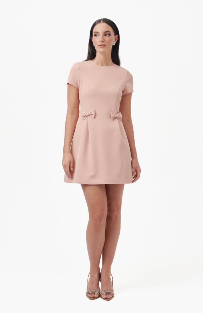 NANA'S Ana Mini Dress in Mauve Cover