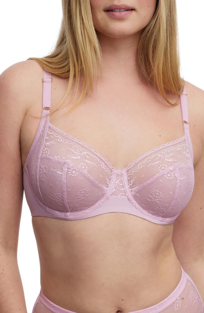 Skarlett Blue Lacy Underwire Full Coverage Bra in Blm Lilac Cover