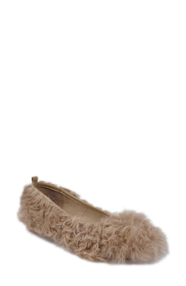 Artisan Crafted By Zigi Quincy Faux Fur Flat in Beige Leather Cover