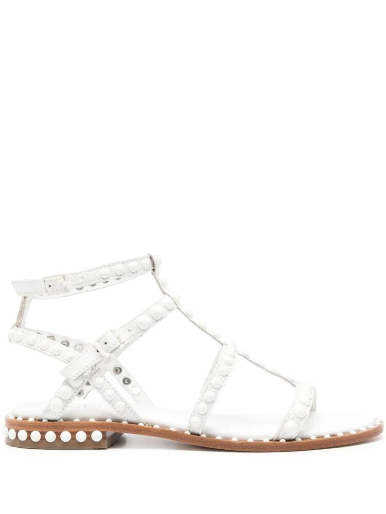 Ash Precious flat sandals - White Cover