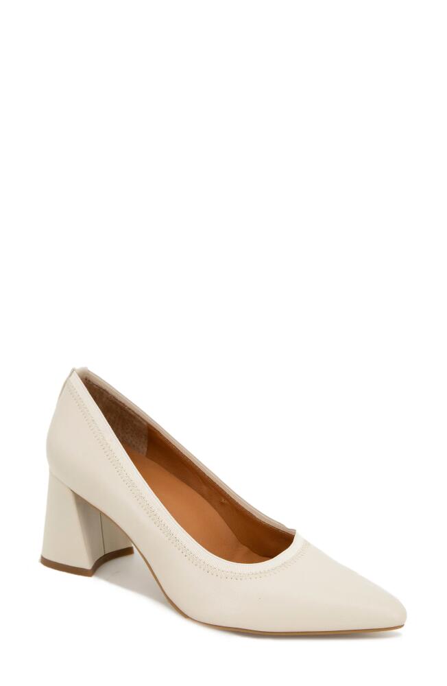 GENTLE SOULS BY KENNETH COLE Dionne Pointed Toe Pump in Stone Cover