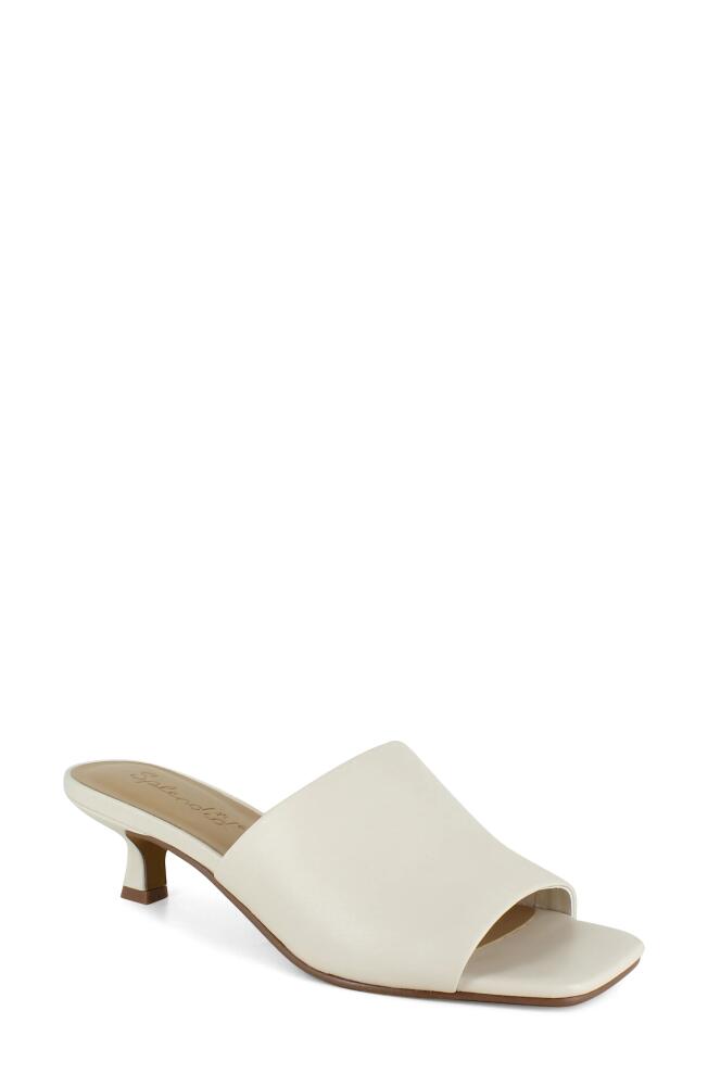 Splendid Hampton Slide Sandal in Oat Cover