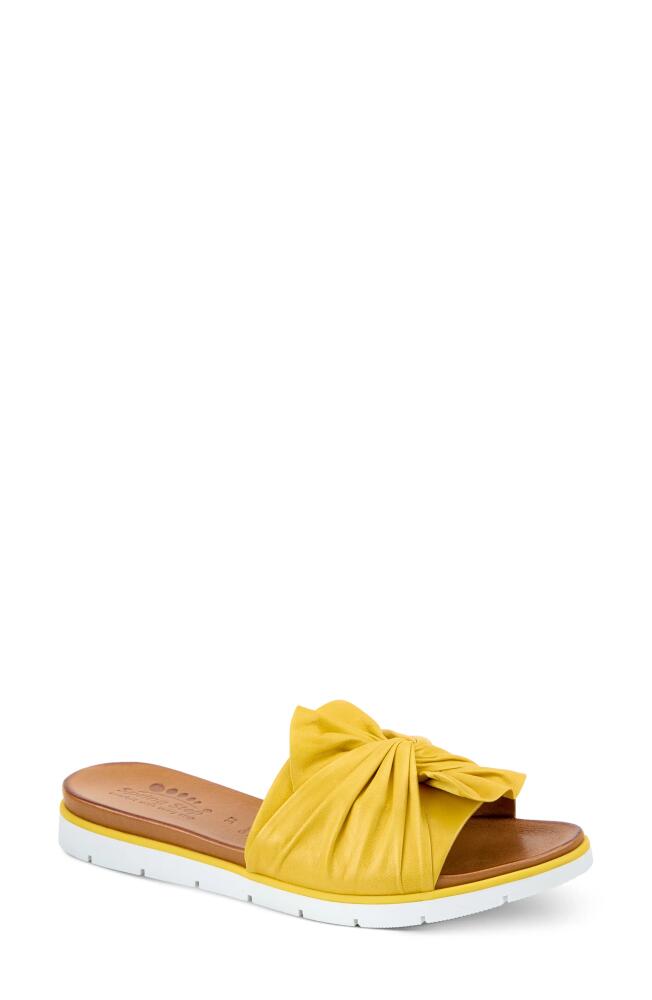 Spring Step Lavona Slide Sandal in Yellow Cover