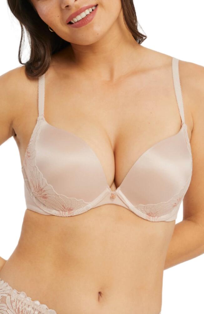 Montelle Intimates Anniversary Prodigy Push-Up Underwire Bra in Lotus Cover