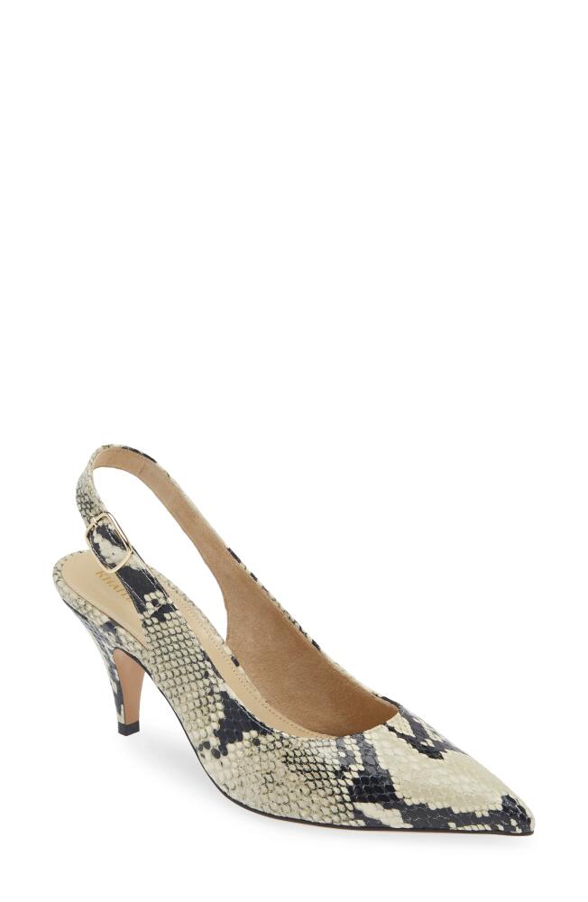 Khaite River Snakeskin Embossed Pointed Toe Slingback Pump in Natural Cover