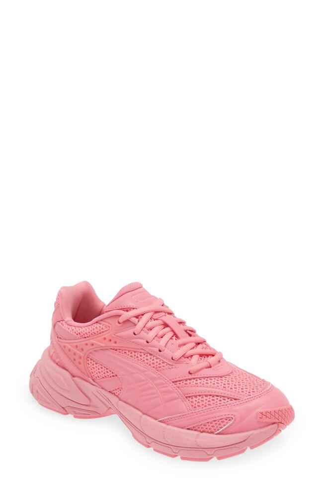 PUMA Velophasis Technisch Sneaker in Strawberry Burst-Puma Red Cover