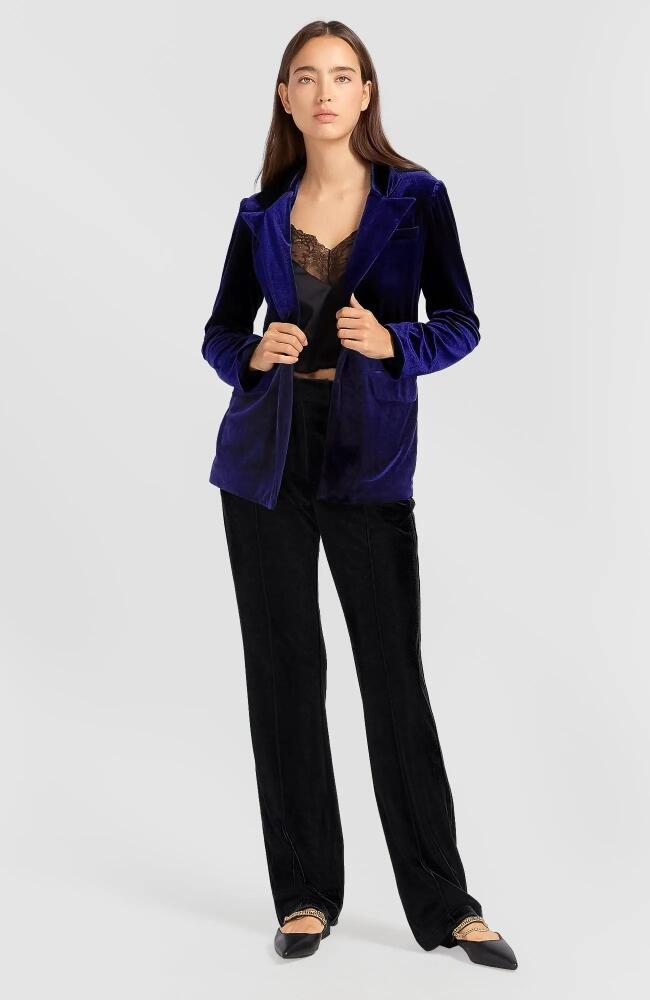 Belle & Bloom Eternity Velvet Blazer in Royal Blue Cover