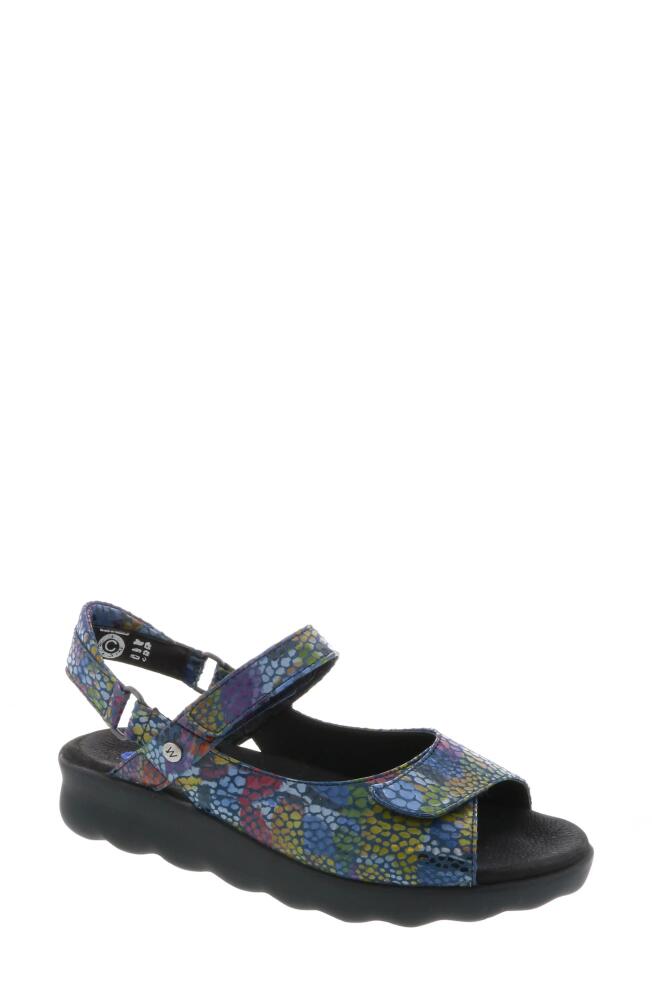 Wolky Pichu Quarter Strap Sandal in Jeans Multi Color Fantasy Cover