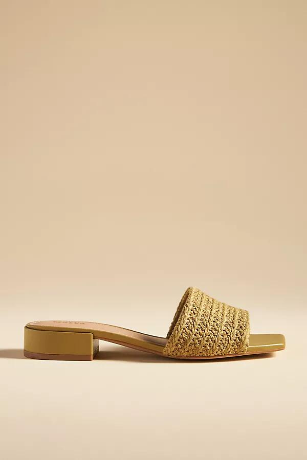 The Coralie Mule Slide Sandals by Maeve Cover