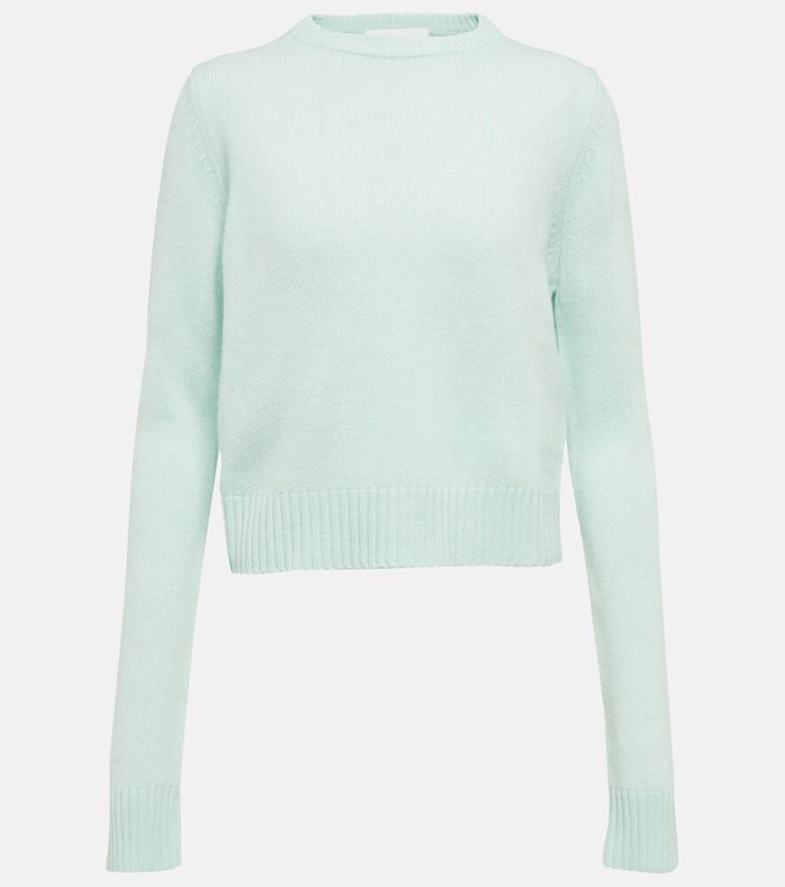 Sportmax Agitare wool and cashmere sweater Cover