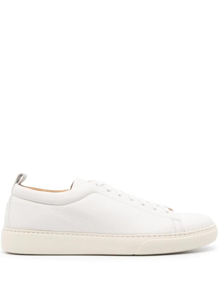 Henderson Baracco Colby leather sneakers - Neutrals Cover