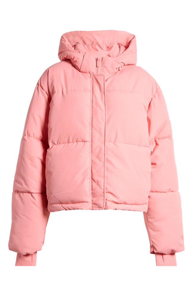 Florence by Mills Hooded Short Puffer Jacket in Strawberry Ice Cover