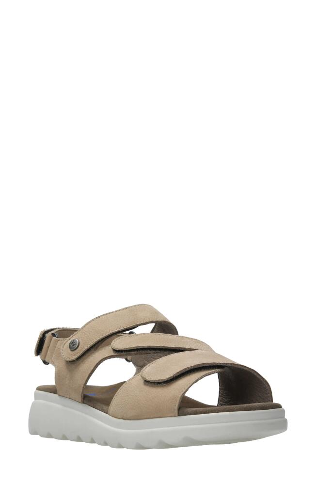 Wolky Yard Slingback Platform Wedge Sandal in Beige Nubuck Cover