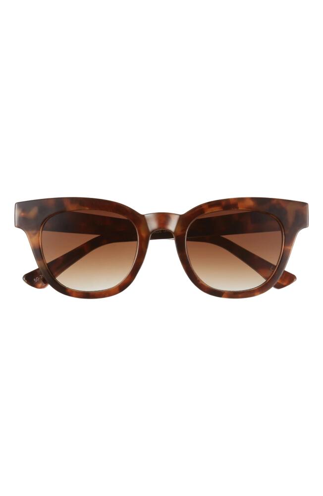 AIRE 50mm Dorado D-Frame Sunglasses in Tort /Brown Grad Cover