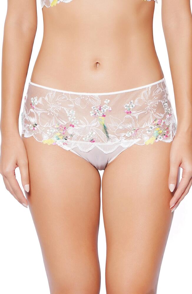 Huit Winter Romance Briefs in Floral White Cover