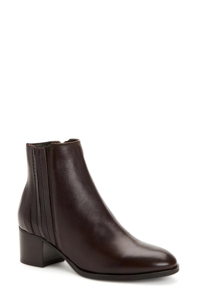 Aquatalia Naiya Ankle Bootie in Brown Cover