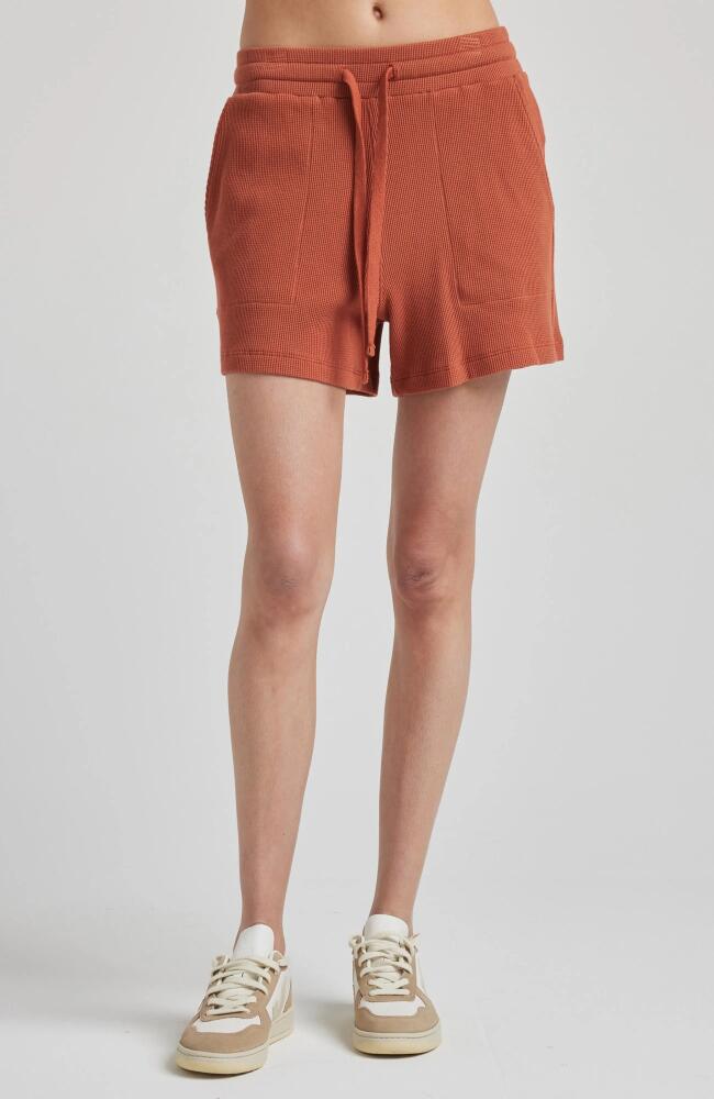 Losano Drawstring Short in Baked Clay Cover